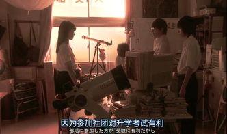 一个小谎,揭秘小谎背后的真相